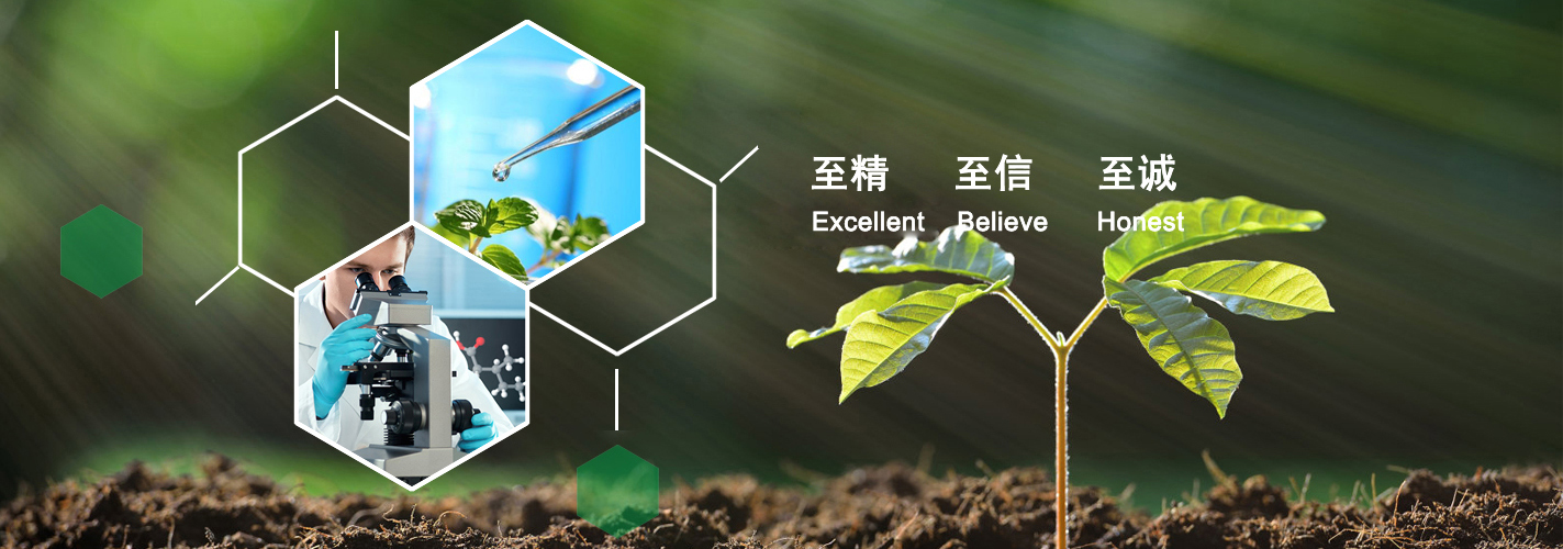 荊州市新景化工有限責(zé)任公司